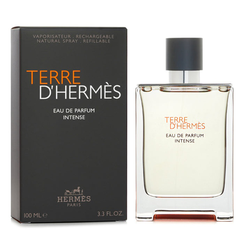 Hermes Terre D'Hermes Intense EDP 100ml | Singapore Authentic Perfume